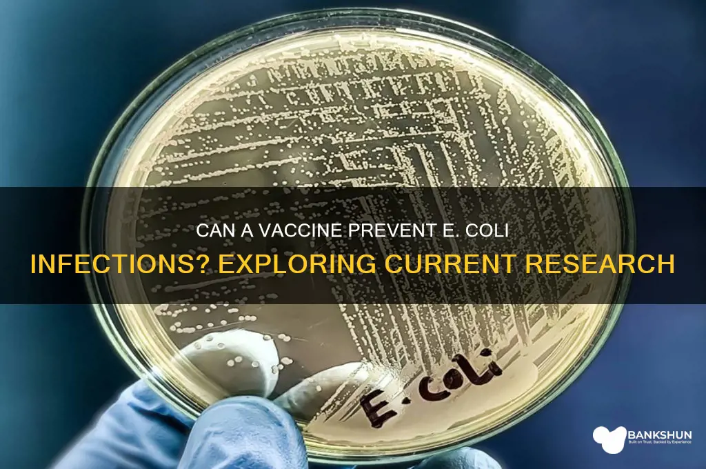 is there a vaccine to avoid ecoli