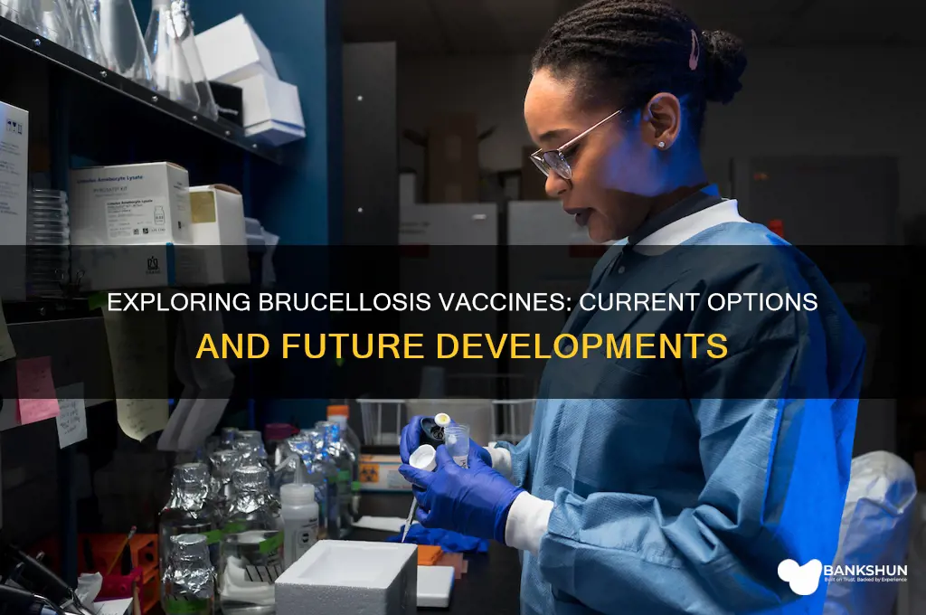 is there a vaccine to help bruccelsis