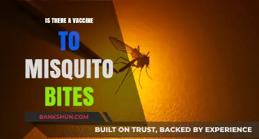 Mosquito Bite Vaccines: Are They Real or Just a Myth?