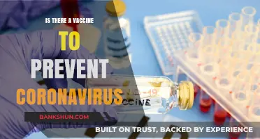 Coronavirus Vaccine: Current Status, Effectiveness, and Prevention Strategies
