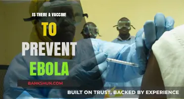 Ebola Vaccine: Current Status, Effectiveness, and Global Accessibility Explained