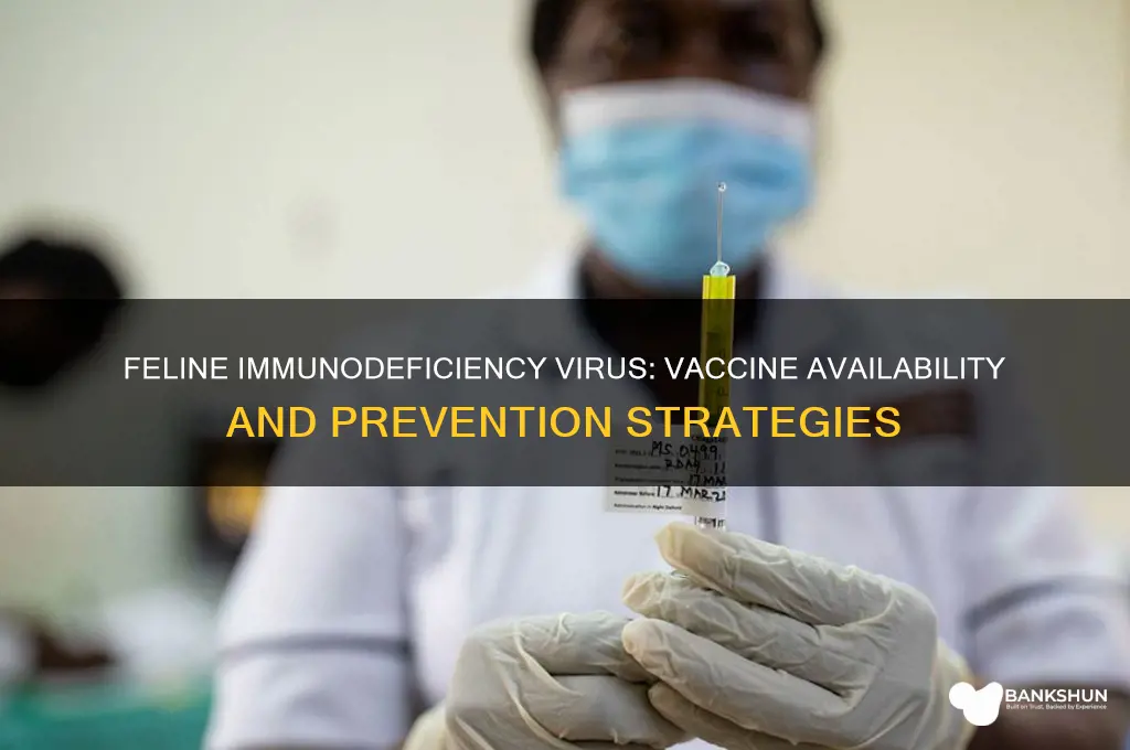 is there a vaccine to prevent fiv