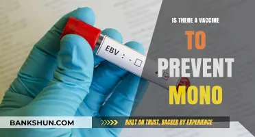 Can You Get Vaccinated Against Mono? Exploring Prevention Options