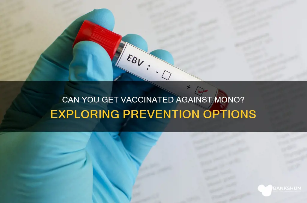 is there a vaccine to prevent mono
