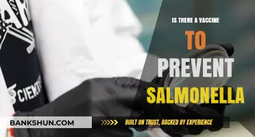 Can a Vaccine Protect Against Salmonella Infections? Exploring Prevention Options