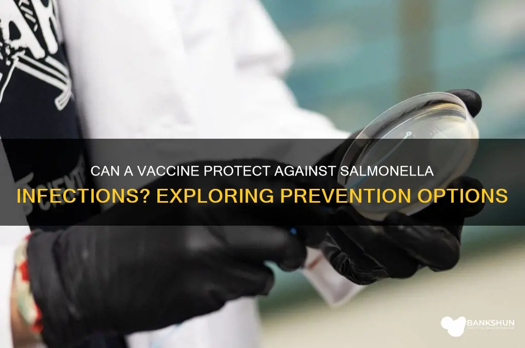 is there a vaccine to prevent salmonella