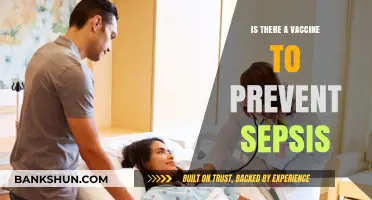 Can Vaccines Prevent Sepsis? Exploring Current Research and Possibilities