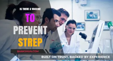 Can a Vaccine Prevent Strep Infections? Exploring the Latest Research