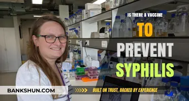 Can Syphilis Be Prevented? Exploring Vaccine Possibilities and Current Treatments