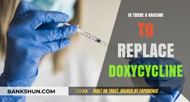 Exploring Alternatives: Can a Vaccine Replace Doxycycline for Tick-Borne Illnesses?