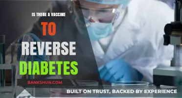 Can a Vaccine Reverse Diabetes? Exploring the Latest Research and Possibilities