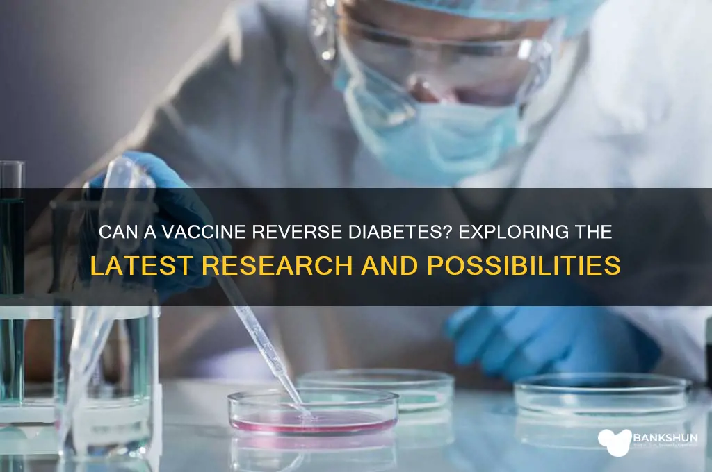 is there a vaccine to reverse diabetes