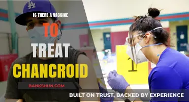 Chancroid Treatment: Exploring Vaccine Options and Current Medical Approaches