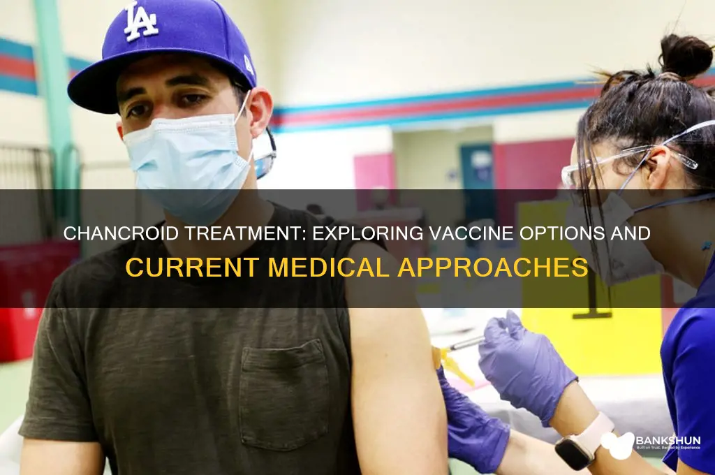 is there a vaccine to treat chancroid