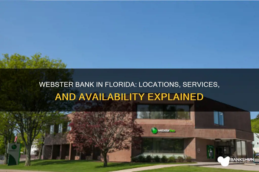 is there a webster bank in florida