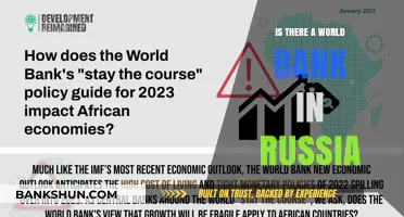Does Russia Have a World Bank? Exploring Financial Institutions