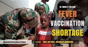 Yellow Fever Vaccination Shortage: Causes, Impact, and Solutions Explained