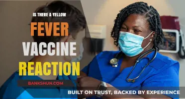 Yellow Fever Vaccine Reactions: Symptoms, Risks, and What to Expect