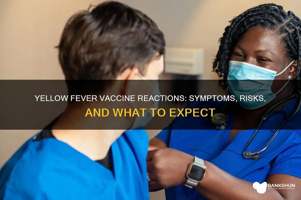 is there a yellow fever vaccine reaction