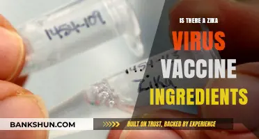 Zika Virus Vaccine Ingredients: What’s Inside and How It Works