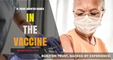 Debunking Myths: Are Aborted Fetal Cells in Vaccines?