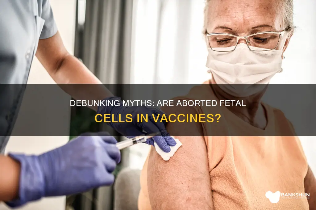 is there aborted babies in the vaccine