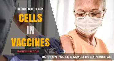 Debunking Myths: Are Aborted Fetal Cells in Vaccines?