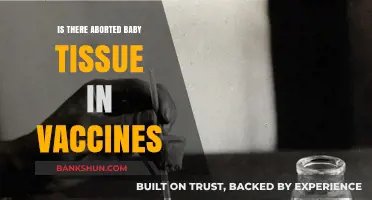 Debunking the Myth: Aborted Fetal Tissue in Vaccines Explained