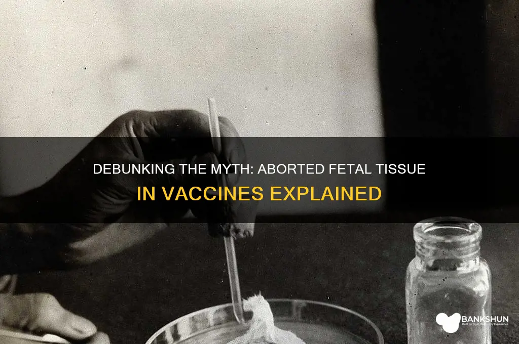is there aborted baby tissue in vaccines