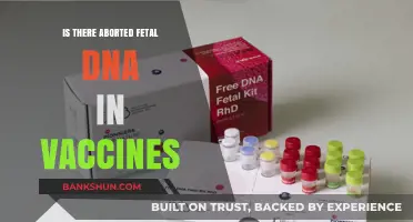 Debunking Myths: Fetal DNA in Vaccines - Facts and Safety Explained