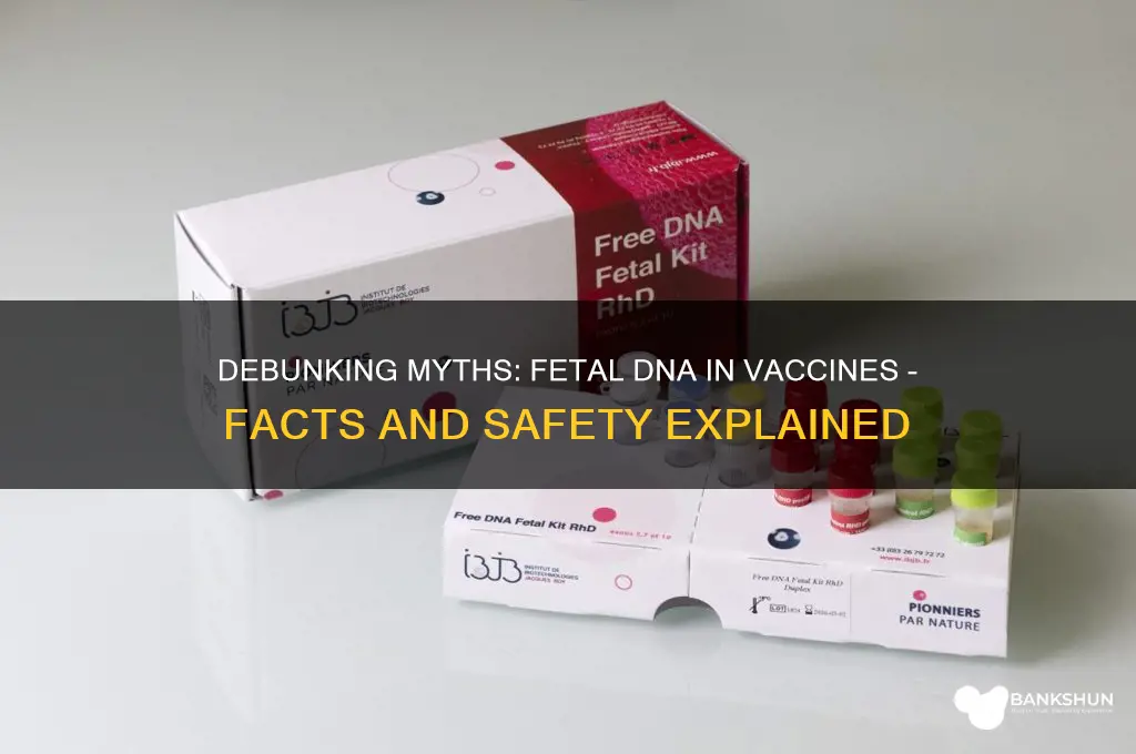 is there aborted fetal dna in vaccines