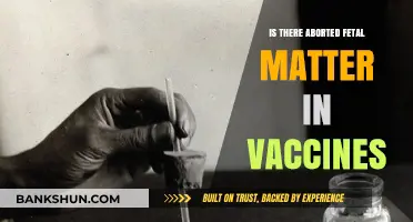Debunking Myths: Fetal Tissue and Vaccine Development Explained