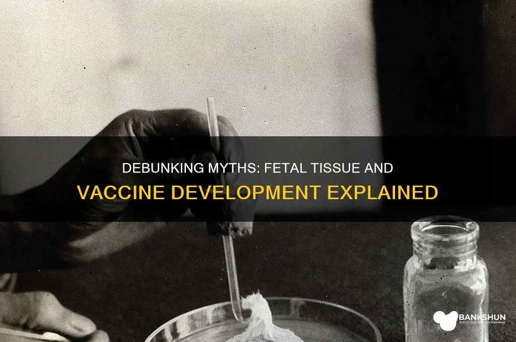 is there aborted fetal matter in vaccines