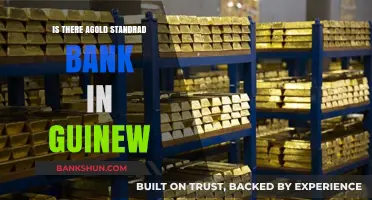 Is There a Gold Standard Bank in Guinea? Exploring Financial Systems