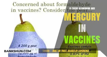 Aluminum and Mercury in Vaccines: Separating Fact from Fiction