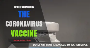 Aluminum in COVID-19 Vaccines: Fact-Checking the Ingredients and Safety