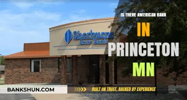 American Banks in Princeton, MN: Exploring Financial Options Locally