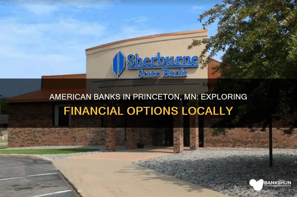 is there american bank in princeton mn