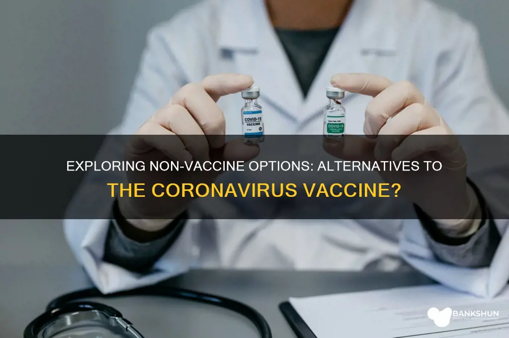 is there an alternative to coronavirus vaccine