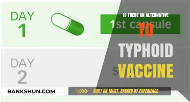 Exploring Alternatives to Typhoid Vaccines: Options and Effectiveness