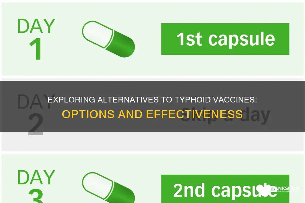is there an alternative to typhoid vaccine