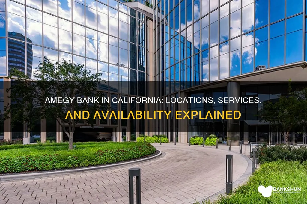 is there an amegy bank in californi