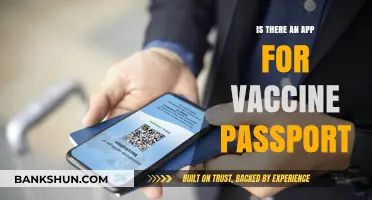 Digital Vaccine Passports: Exploring Apps for Safe Travel and Access