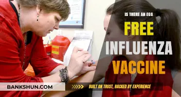 Egg-Free Influenza Vaccines: Are They Available and Safe?