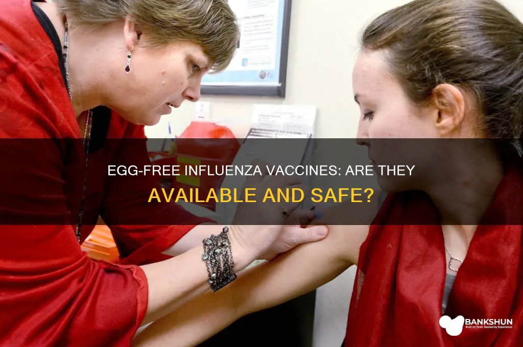 is there an egg free influenza vaccine