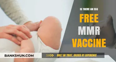Egg-Free MMR Vaccine Options: What You Need to Know