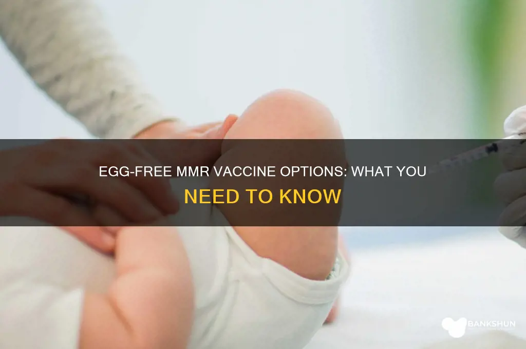 is there an egg free mmr vaccine