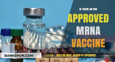 FDA-Approved mRNA Vaccines: What You Need to Know