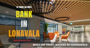 HDFC Bank in Lonavala: Location, Services, and Accessibility Guide