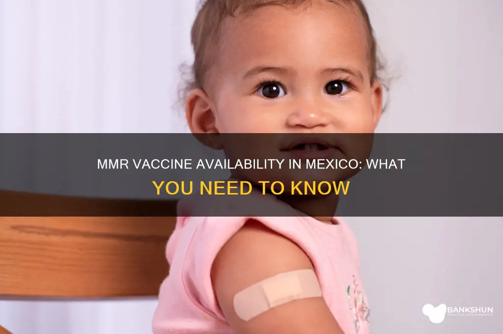 is there an mmr vaccine in mexico